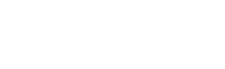 Ramoneur du 95